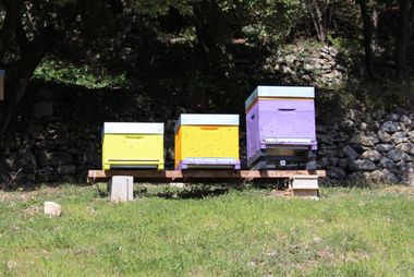 beehive front image
