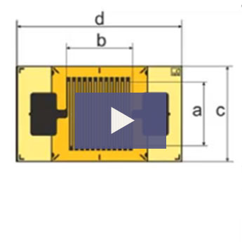 Webinar: Strain Gauge S...