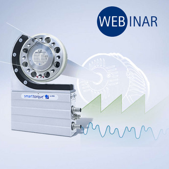 Dual Torque Measurement