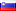 Slovenia flag image