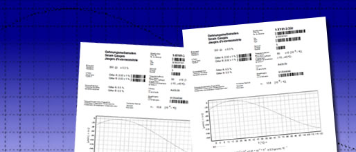 Support: Download von DMS-Datenblättern per Herstellungslos